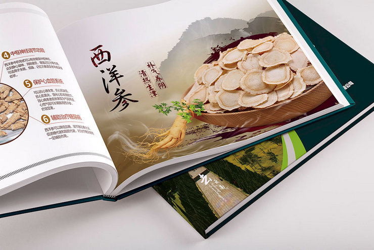 健康旅游管理公司招商畫冊(cè)設(shè)計(jì)
