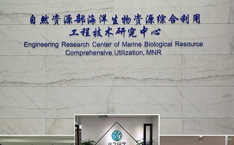廈門形象墻設計制作公司提供形象墻設計企業背景墻制作公司形象墻設計LOGO墻制作，LOGO墻設計等服務擁有一流的前期設計企劃人員及專業的后期logo墻制作(企業背景墻制作)施工隊伍。